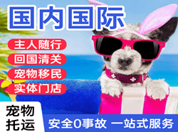 龙洞堡航空邮寄国际宠物托运 【国